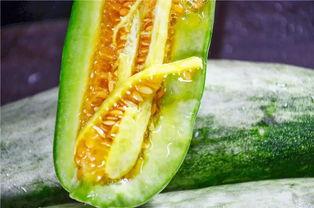 网红吃瓜视频网站入口,带你走进娱乐圈幕后风云