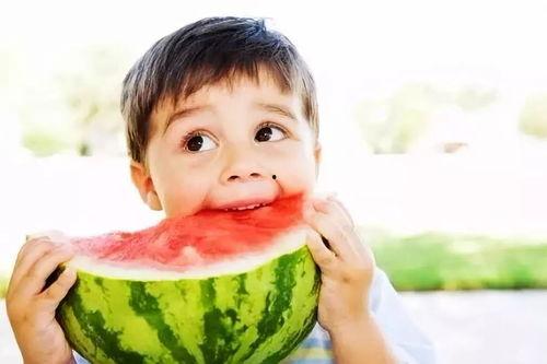 乳瓜可以给孩子吃吗视频,适合孩子食用的健康之选