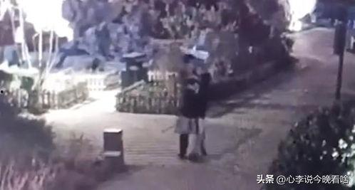 龙六车祸现场原视频吃瓜,原视频还原事发瞬间