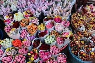 花店老板吃瓜视频全集,揭秘娱乐圈幕后真相