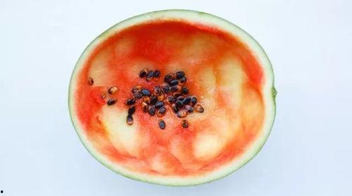 勺子吃瓜视频素材高清,揭秘瓜果美味诱惑