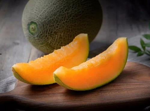 仓鼠吃绿哈密瓜会死吗视频,绿哈密瓜对仓鼠致命风险揭秘