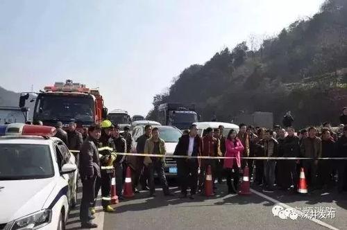 大亚湾吃瓜群众事件视频,一场网络舆论的风暴与反思