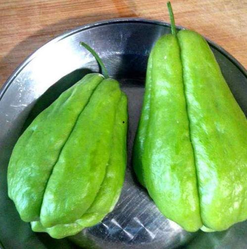 猫可以吃佛手瓜么吗视频,佛手瓜，猫咪的“健康美食”吗？