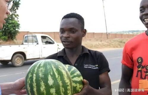 五大吃瓜的视频,揭秘娱乐圈幕后故事